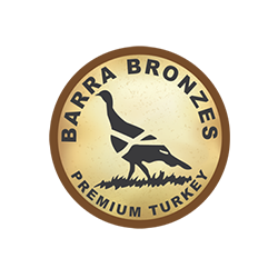 Barra Bronzes
