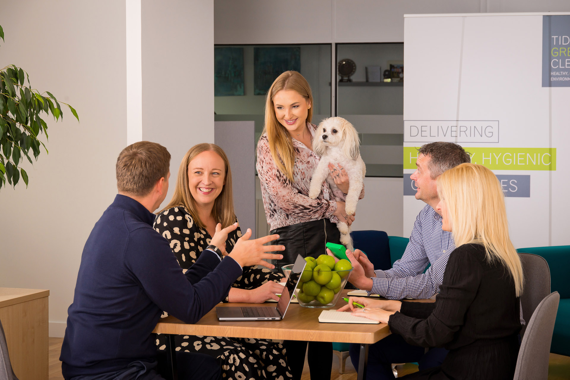 tidy green clean team